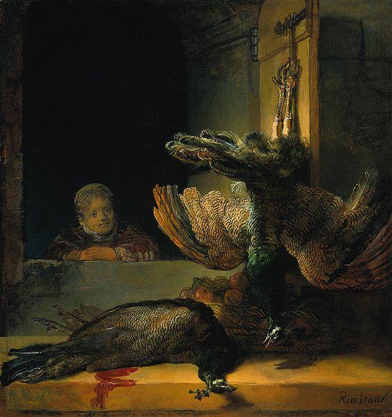 Rembrandt Peale Tote Pfauen Sweden oil painting art